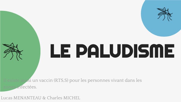 Paludisme | Genially