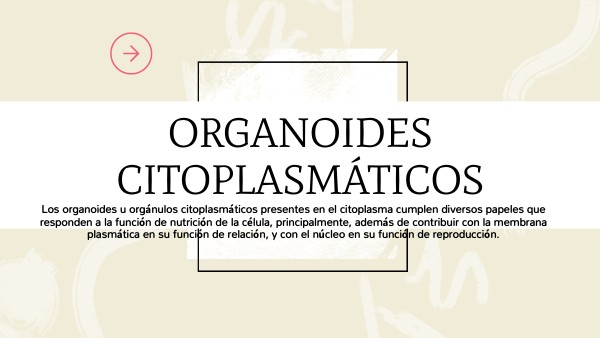 ORGANOIDES CITOPLASMATICO