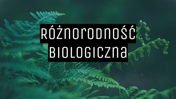 Różnorodność biologiczna | Genially