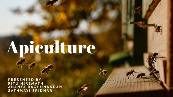 Apiary Presentation | Genially