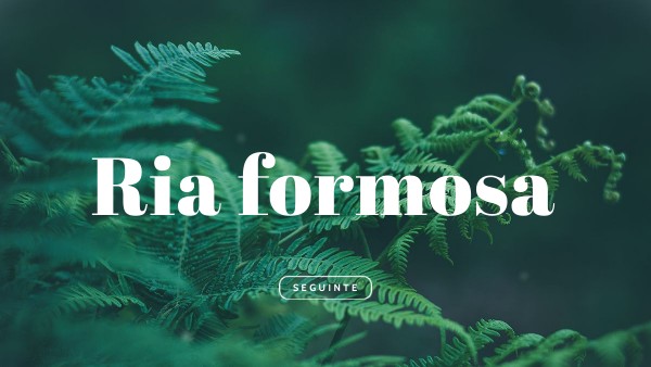 Ria formosa