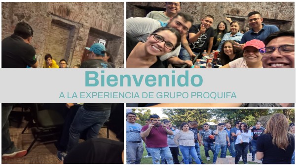 bienvenido visual data 6