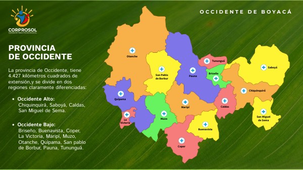 MAPA DATA VIS | Genially