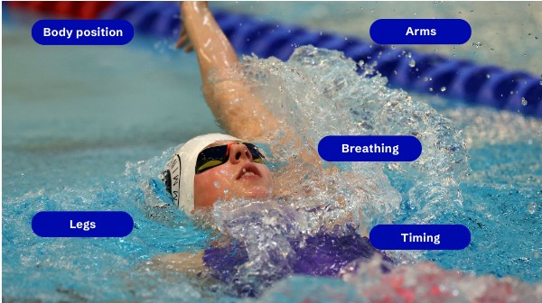 SSCQ Backstroke coaching