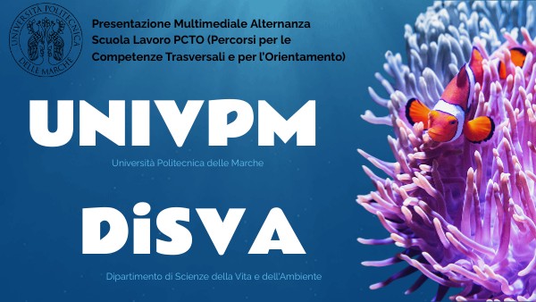 Servadio - PCTO | Genially