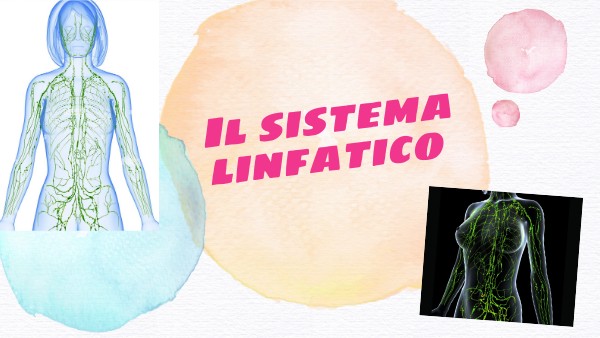 3B Scientific Poster Anatomico "Il Sistema Linfatico" - Formato 50x67 Cm, Carta Premium Lucida 200g, Illustrazioni Dettagliate, Ideale Per Didattica Medica