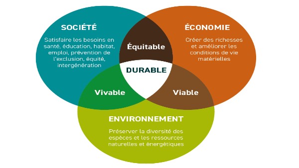 Copie - BASIC PRESENTATION
