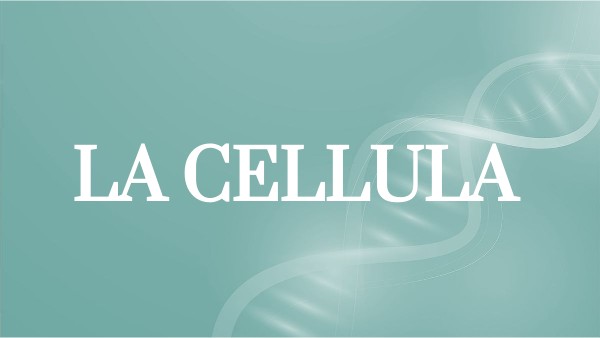 CELLULA