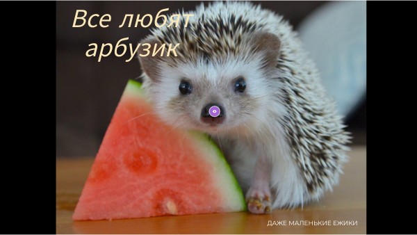 Ежидзе