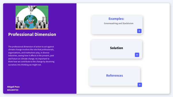 professional dimension
