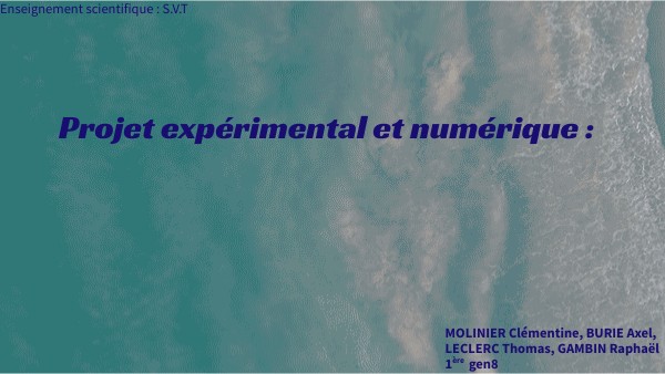 Projet expérimental et numérique | Genially