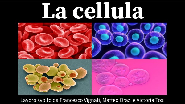 La cellula