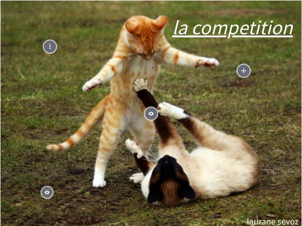la compétition