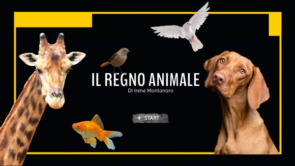 Il regno animale