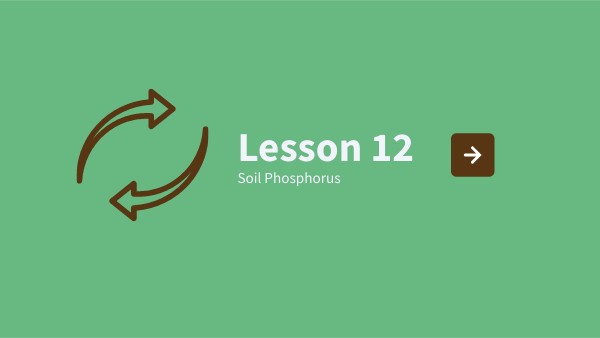 Soil Health Bucket Guided Notes Lesson 12 | Genially