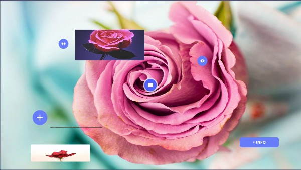 BASIC INTERACTIVE IMAGE