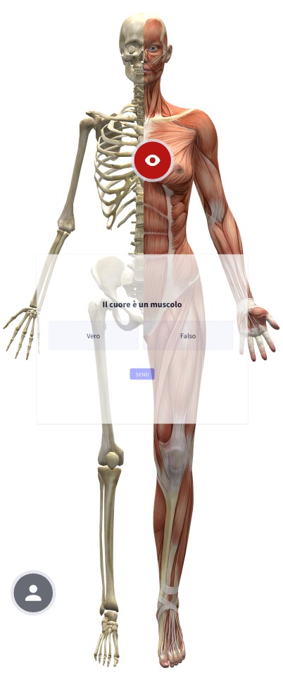 Maglietta Pettorale Finta Uomo – Imbottitura Muscolare Invisibile – Body Shaping Realistico – Girocollo Bianco - 3