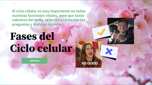 quiz-genial