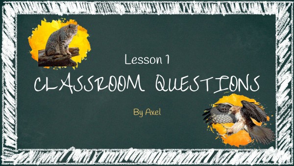 Lesson 1 - Classroom Questions