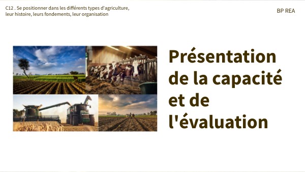Présentation C12 | Genially