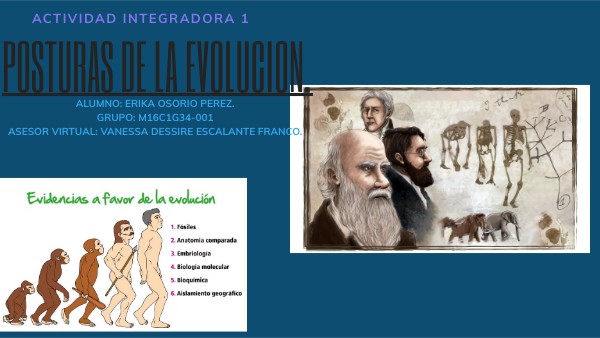 posturas de la evolución.
