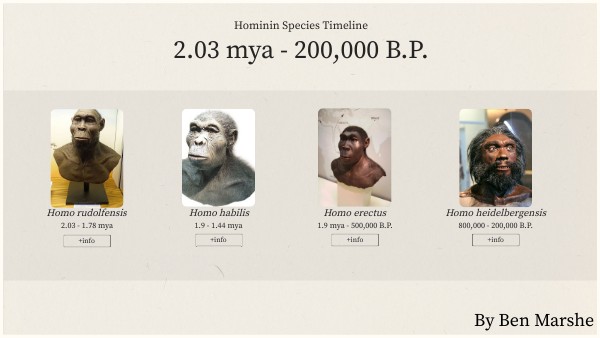 MarsheHomininInfographic | Genially