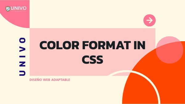 COLORS FORMAT IN CSS