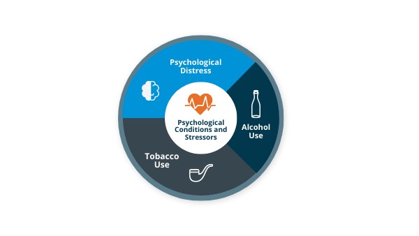 HFP Module 3 Level 2 Click and Reveal