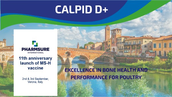 Calpid D+ | Genially