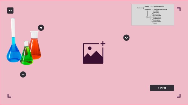 BASIC INTERACTIVE IMAGE
