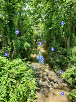 Stream