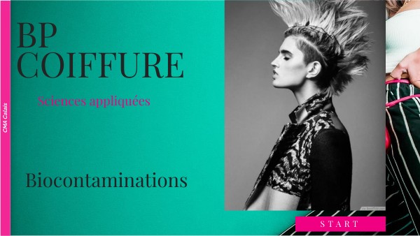 Exemple Dossier Bp Coiffure Coupe Transformation BP coiffure | Genially