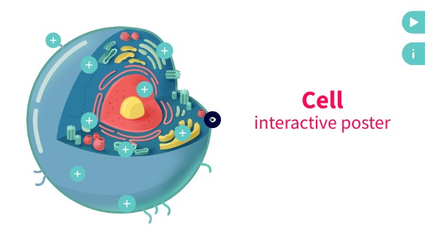 INTERACTIVE CELL POSTER
