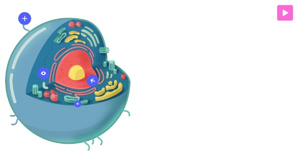 Interactive image