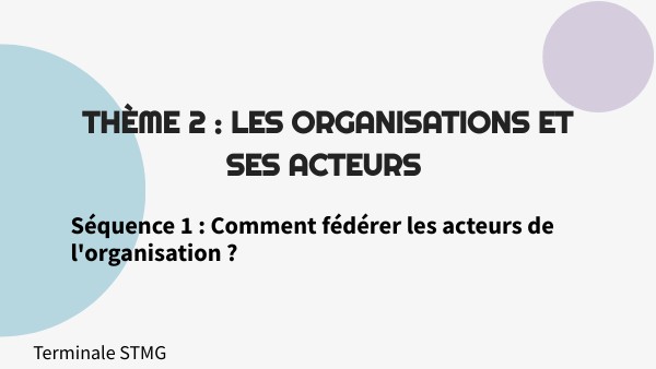 Comment Federer Les Acteurs De L'organisation Stmg Séance les attentes des acteurs de l'organisation
