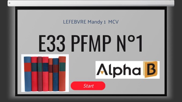 E 33