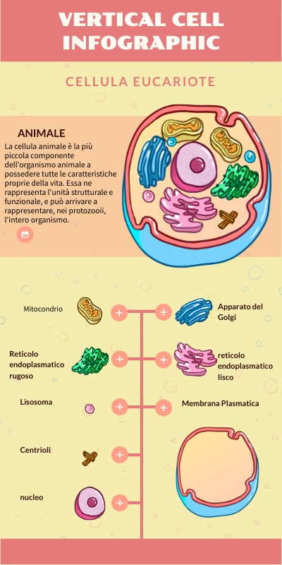 La Cellula