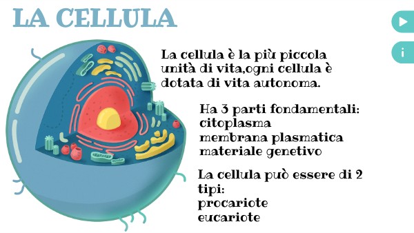 Poster interattivo cellula