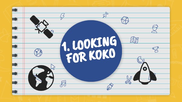 3º LOOKING FOR KOKO