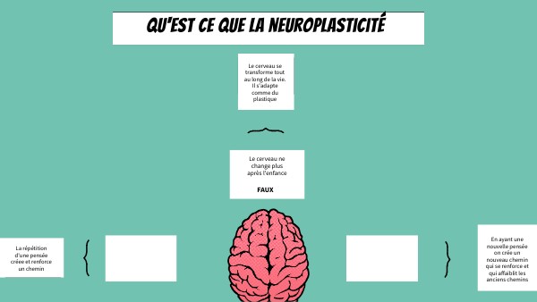 BRAIN MINDMAP | Genially