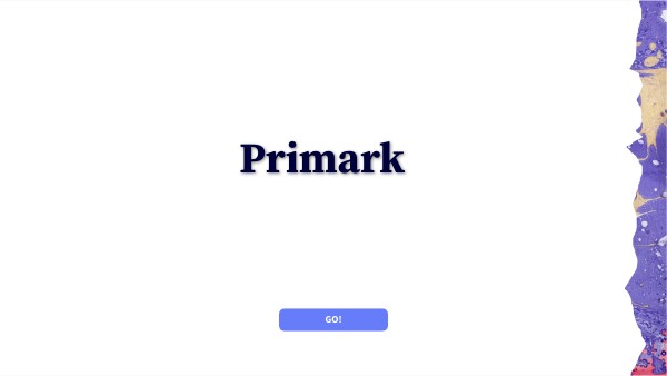 BASIC PRESENTATION primark