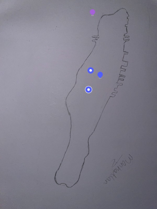 New York Map