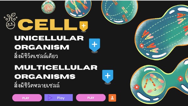Interactive image | Genially