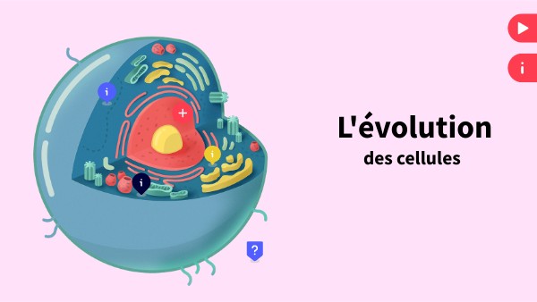 Interactive cell poster