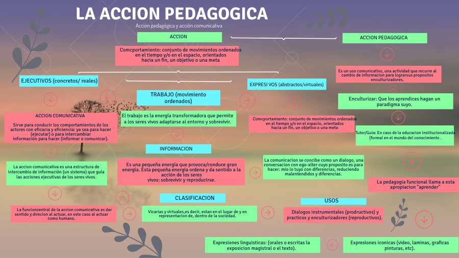 UNIVERSITY CONCEPT MAP | Genially