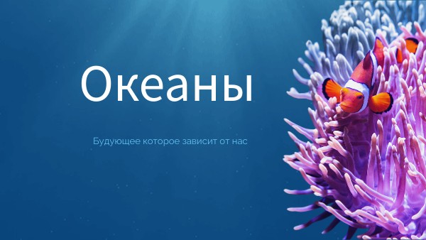 Океаны