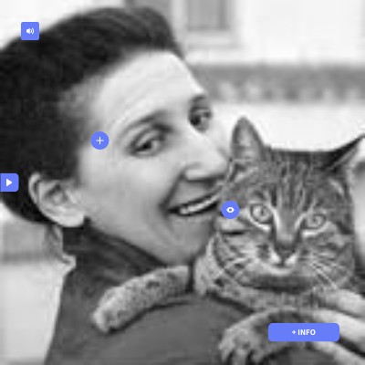SQUARE INTERACTIVE IMAGE