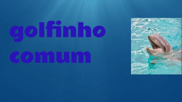 OCEAN PRESENTATION II | Genially
