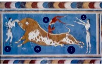 AFFRESCO TAUROCATAPSIA visual data 4