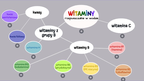 CIRCULAR CONCEPT MAP | Genially